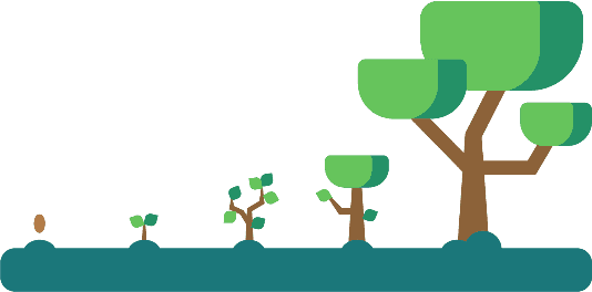 tree from seed grow Living Organisms flat