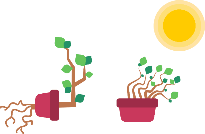 photosynthesis flower sun Living Organisms flat