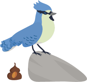 excretion blue bird flat design